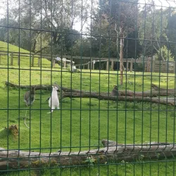 Blackpool Zoo - Blackpool