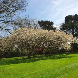 Bersted Park Golf Club - Bognor Regis