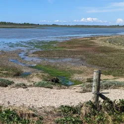 Pagham Harbour Nature Reserve - Bognor Regis
