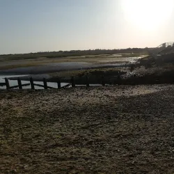 Pagham Harbour Nature Reserve - Bognor Regis