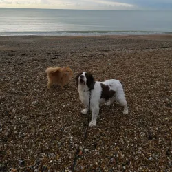 West Park - Bognor Regis