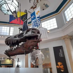 Bolton Museum and Art Gallery - Bolton