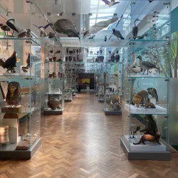 Bolton Museum and Art Gallery - Bolton