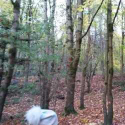 Farnworth Park - Bolton