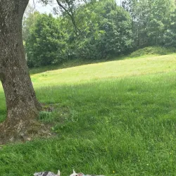 Farnworth Park - Bolton