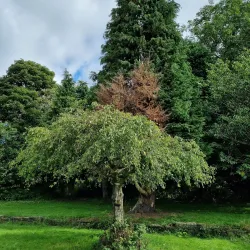 Hall i' th' Wood - Bolton