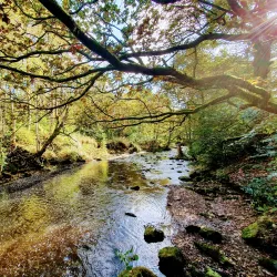Jumbles Country Park - Bolton