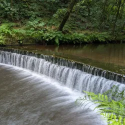 Jumbles Country Park - Bolton