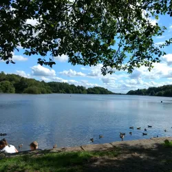 Jumbles Country Park - Bolton