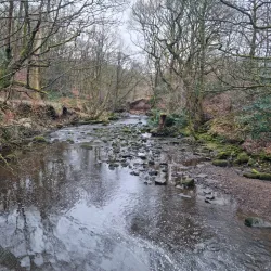 Jumbles Country Park - Bolton