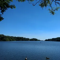 Jumbles Country Park - Bolton