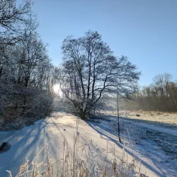 Leverhulme Park - Bolton