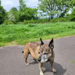Leverhulme Park - Bolton