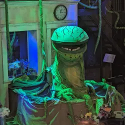 Octagon Theatre - Bolton