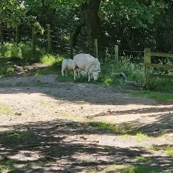 Rivington Pike - Bolton
