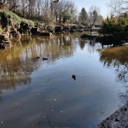Rivington Pike - Bolton