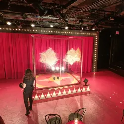 Boston Arts Centre - Boston