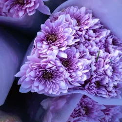 Boston Market Place - Boston