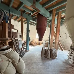 Maud Foster Windmill - Boston