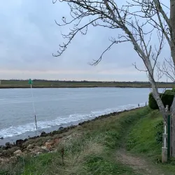 Pilgrim Fathers Memorial - Boston
