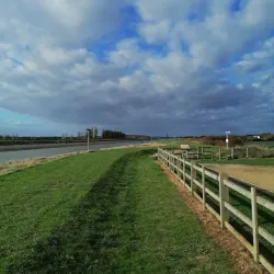 Pilgrim Fathers Memorial - Boston