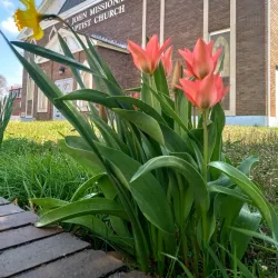 St John's Church - Boston