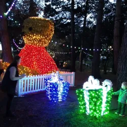 Bournemouth Gardens - Bournemouth