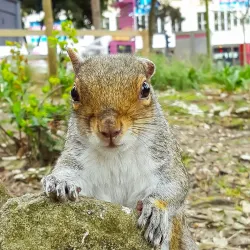Bournemouth Gardens - Bournemouth