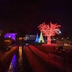 Bournemouth Gardens - Bournemouth