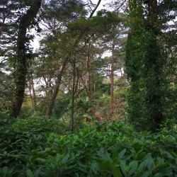 Compton Acres - Bournemouth