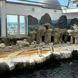 Oceanarium Bournemouth - Bournemouth