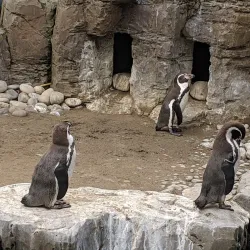 Oceanarium Bournemouth - Bournemouth