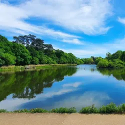 Wildridings Lakes - Bracknell