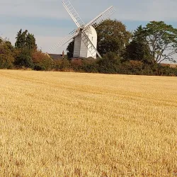 Bocking Windmill - Braintree