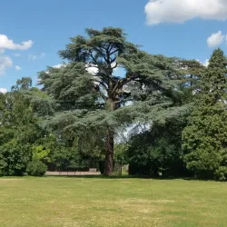 Braintree and Bocking Public Gardens - Braintree