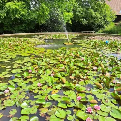 Braintree and Bocking Public Gardens - Braintree