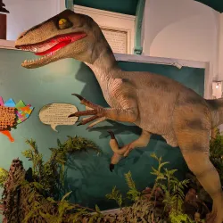 Braintree District Museum - Braintree