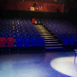 The Brentwood Theatre - Brentwood