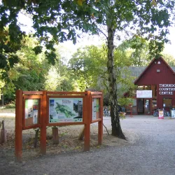 Thorndon Country Park - Brentwood