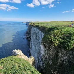 Bempton Cliffs - Bridlington