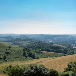 Symondsbury Estate - Bridport