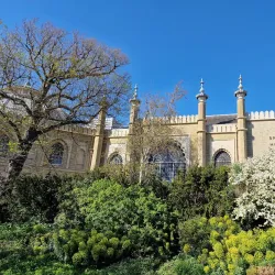 Brighton Museum & Art Gallery - Brighton