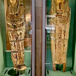 Brighton Museum & Art Gallery - Brighton