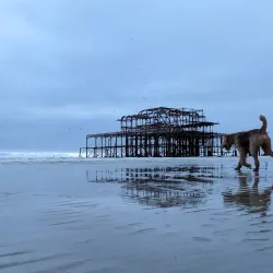 British Airways i360 - Brighton