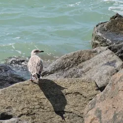 Undercliff Walk - Brighton