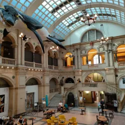 Bristol Museum & Art Gallery - Bristol