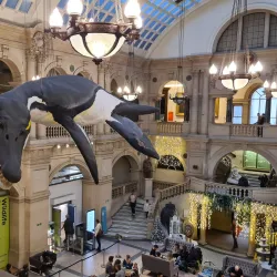 Bristol Museum & Art Gallery - Bristol