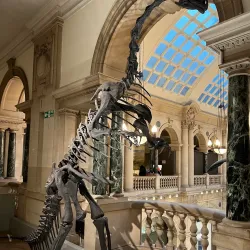 Bristol Museum & Art Gallery - Bristol
