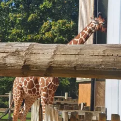 Bristol Zoo Gardens - Bristol