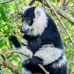 Bristol Zoo Gardens - Bristol